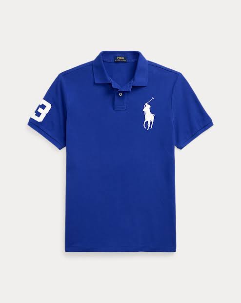 Premium Polo Ralph Lauren Collar T-shirts