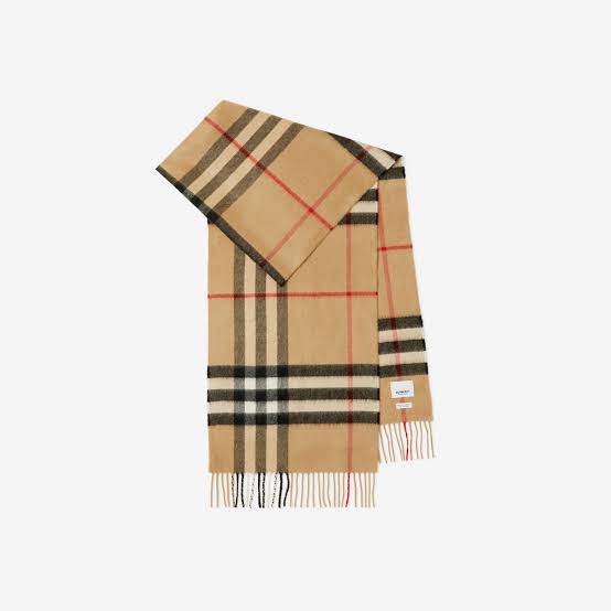 Burberry Scarves