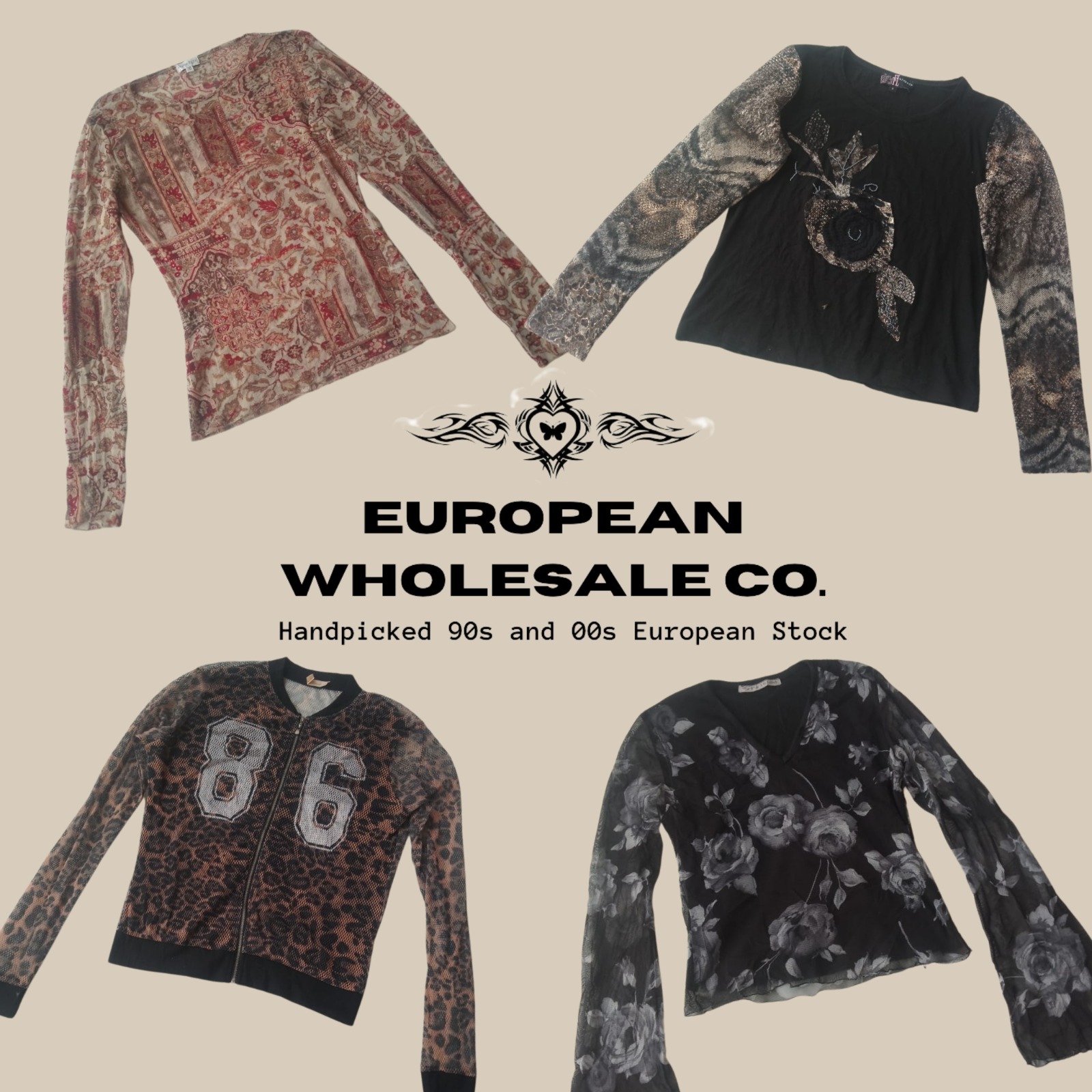 Y2K European Grunge Fairycore Mesh Long Sleeve Tops (EWC042)