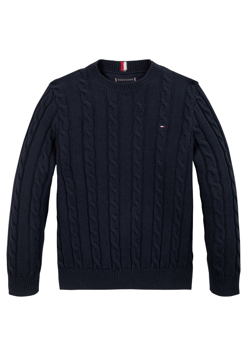 Tommy Hilfiger Sweaters