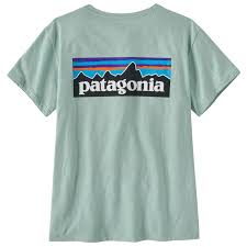 本物のパタゴニアTシャツ
