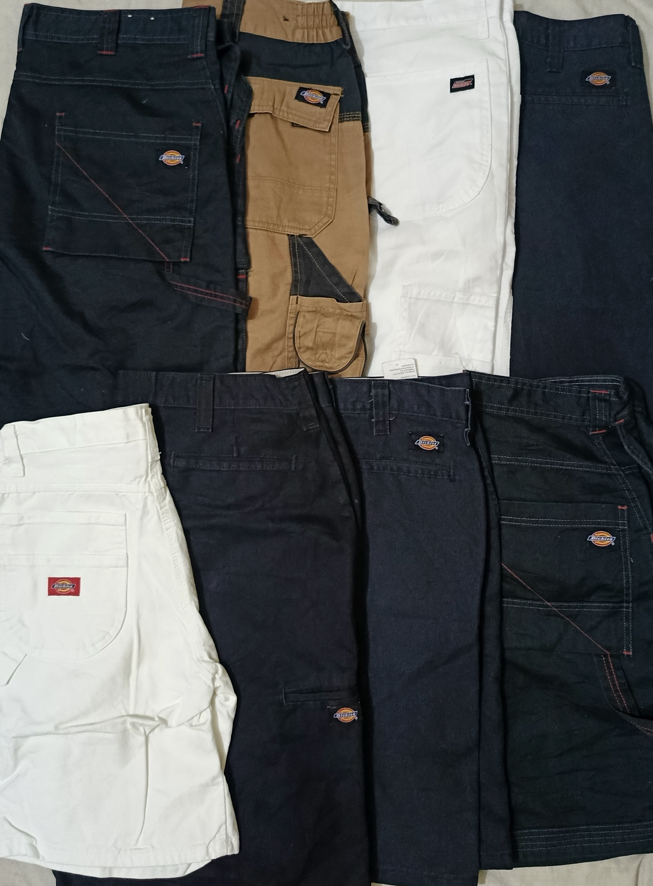 shorts Dickies