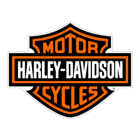 HARLEY DAVIDSON T-shirt ottieni 2 gratis
