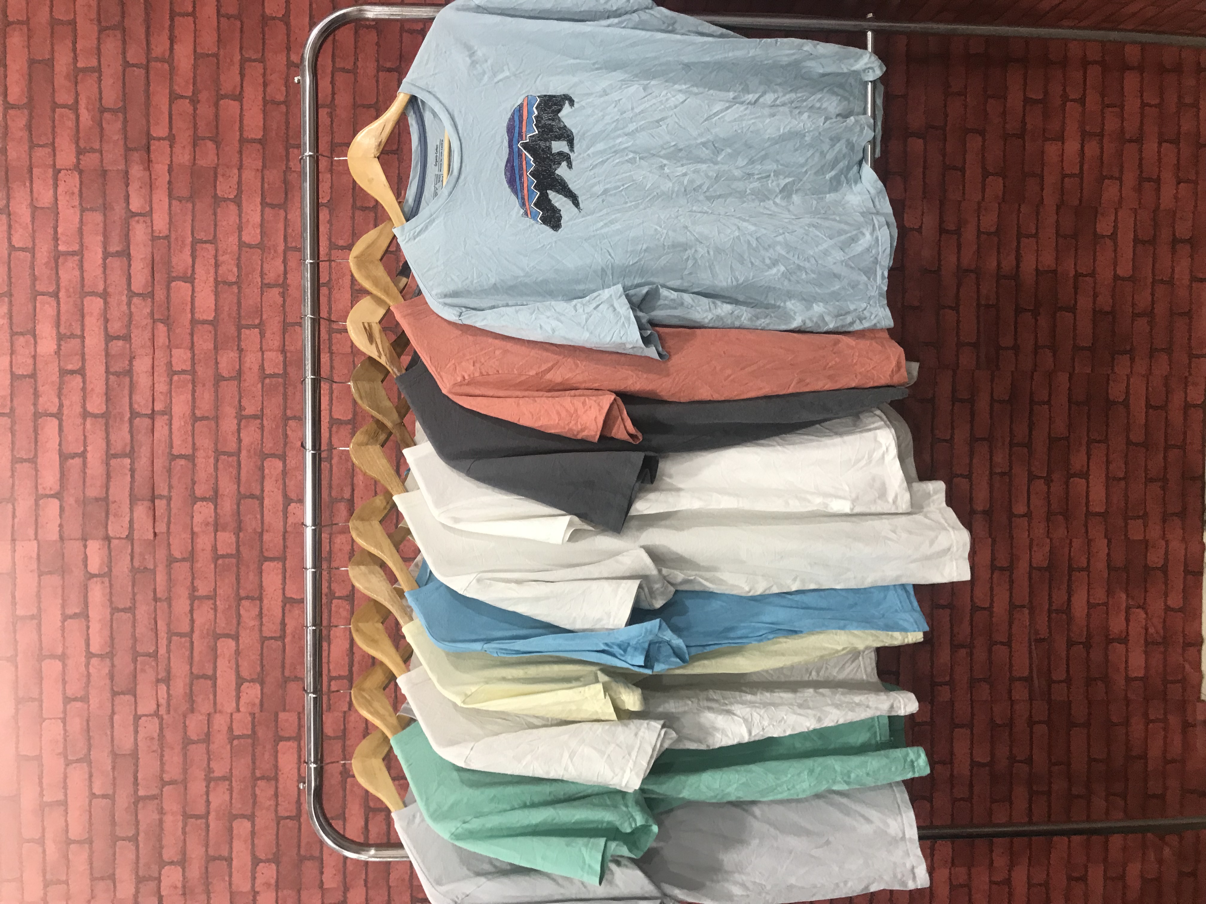 パタゴニア Tシャツ 10枚