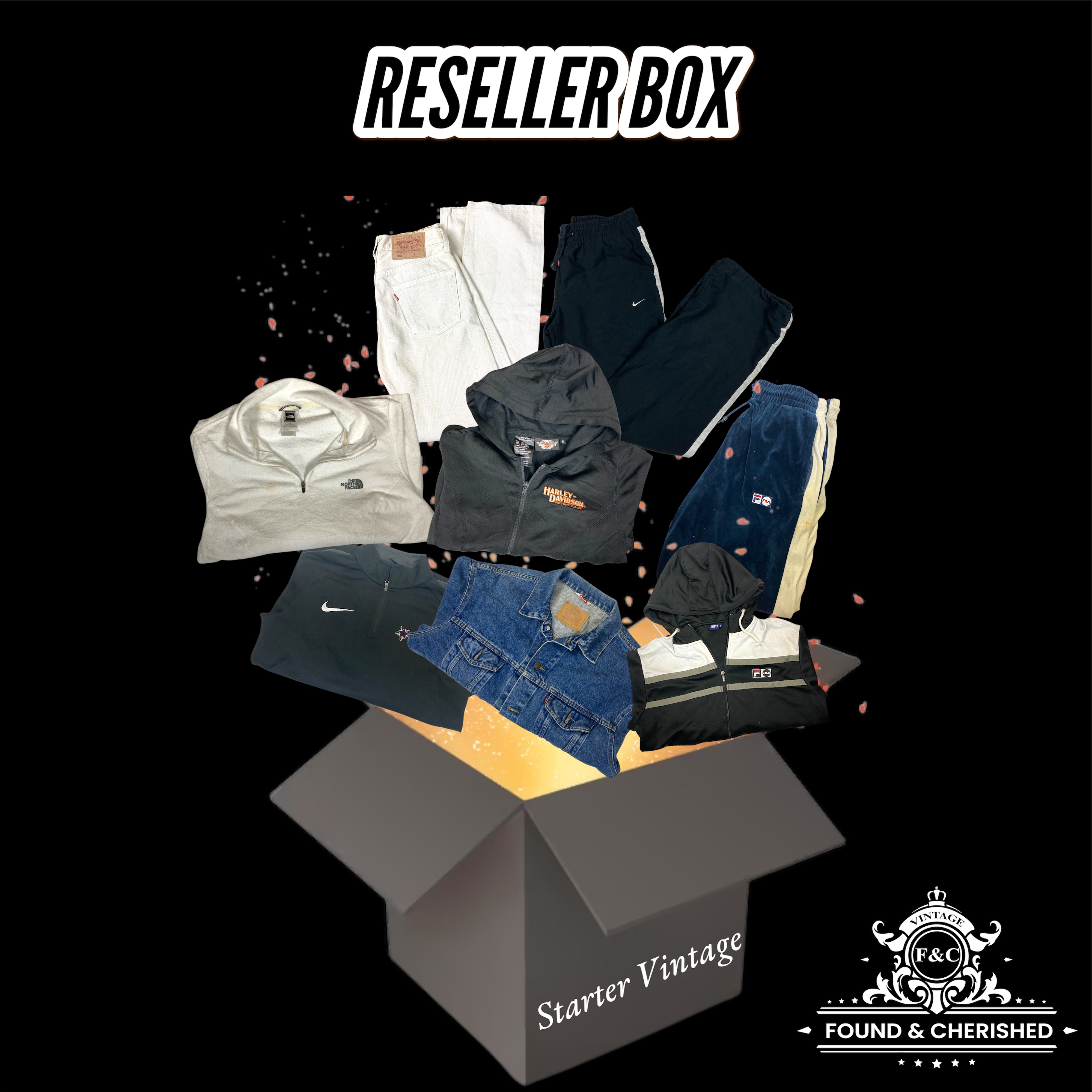 Starter Pack Vintage Reseller Box 25 Stück
