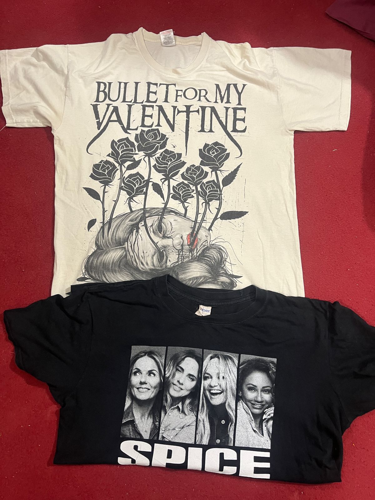Gildan & Fruit Of The Loom Tees / 10 Pcs