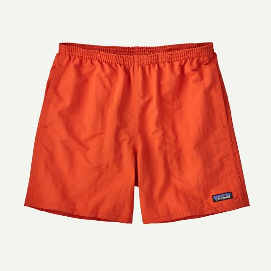 Patagonia Shorts - 40 Pcs