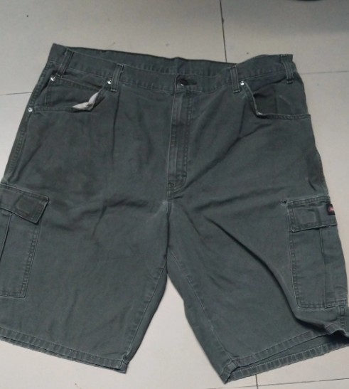 Carhartt / Dickies
 shorts
