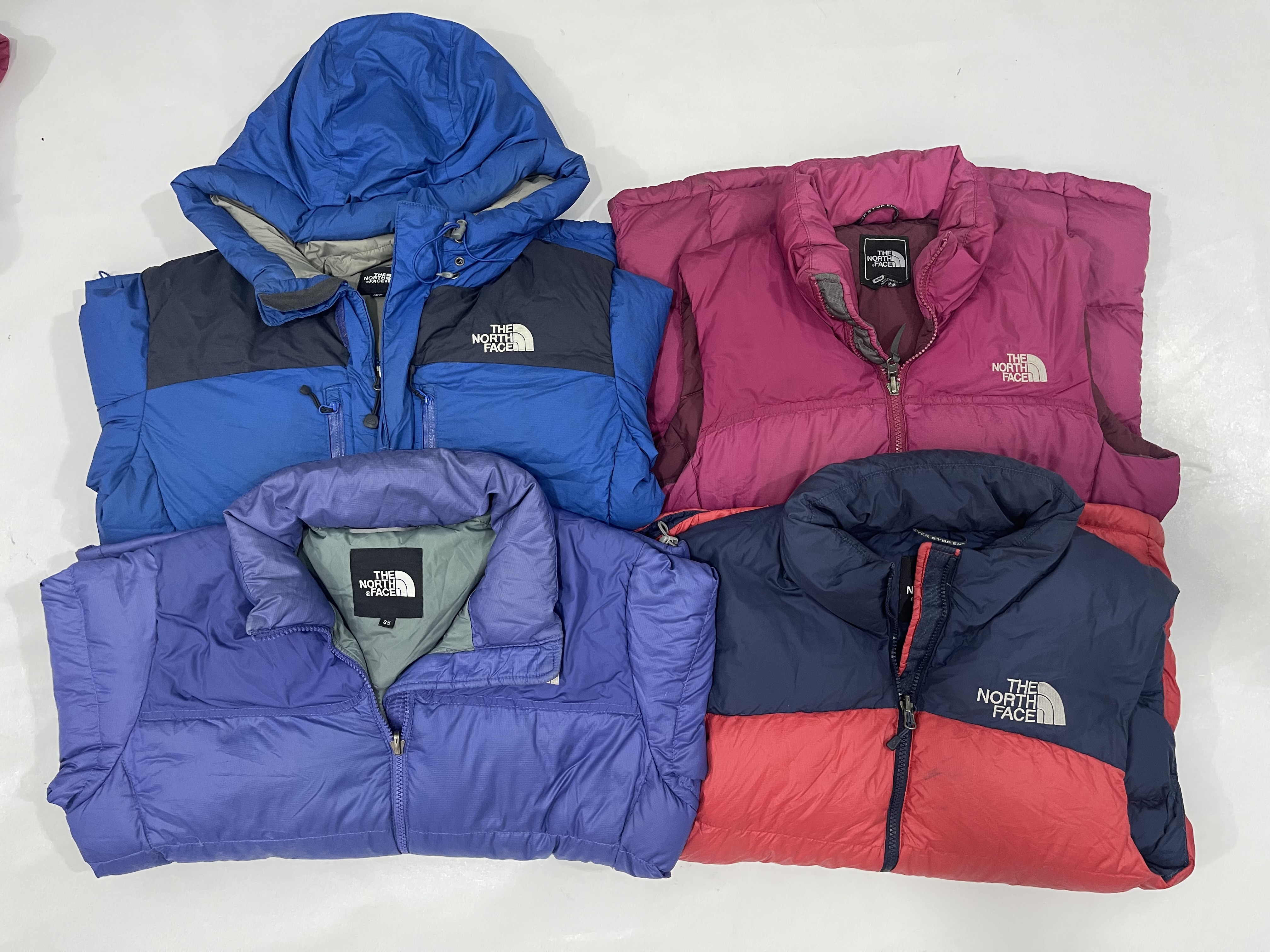 TNF Doudoune 700 10 pièces