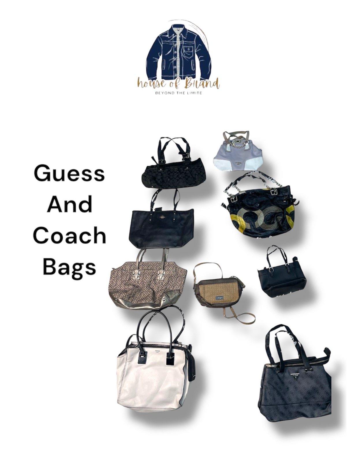 Borse di lusso Coach e Guess
