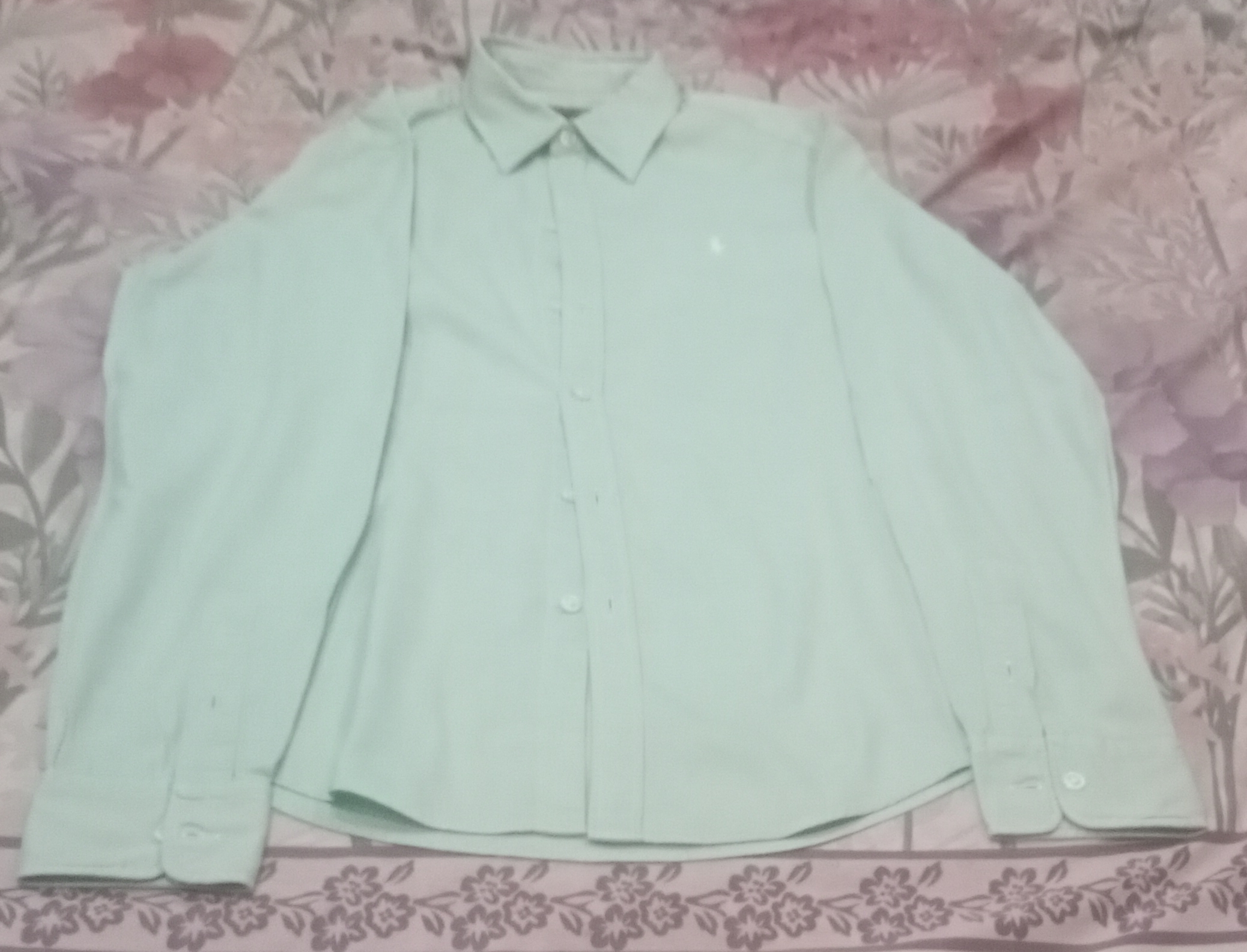 Men's Polo and Carhartt Shirt