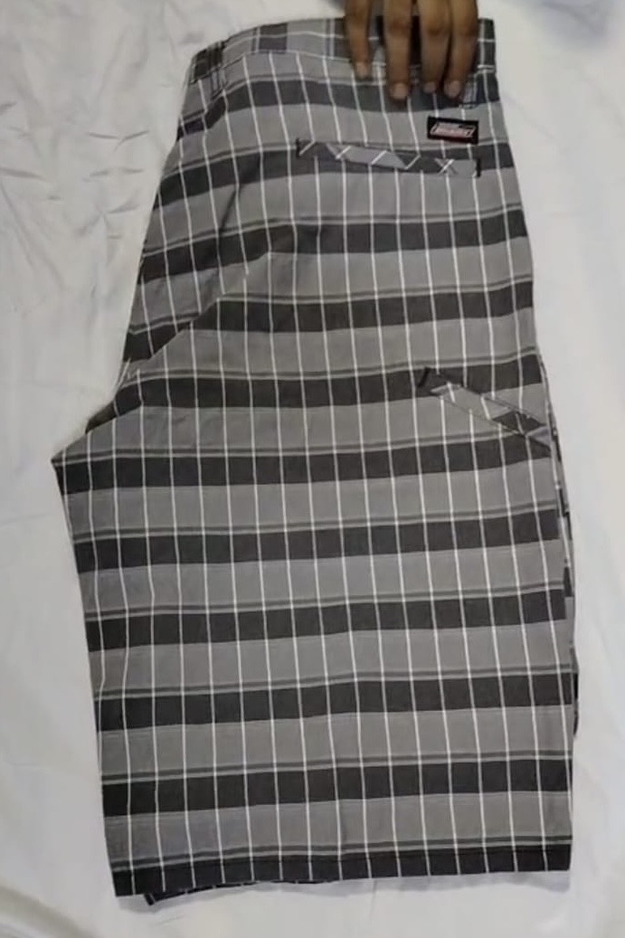 Shorts Dickies