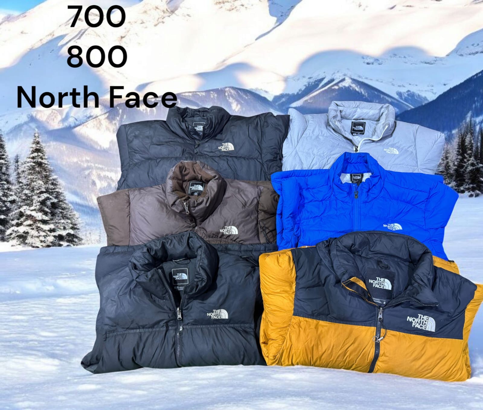 The North Face Puffers Jackets (23pcs)