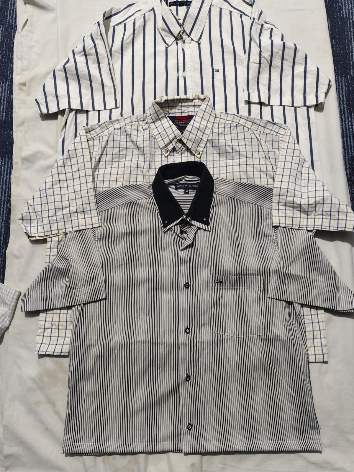 Short body Shirts