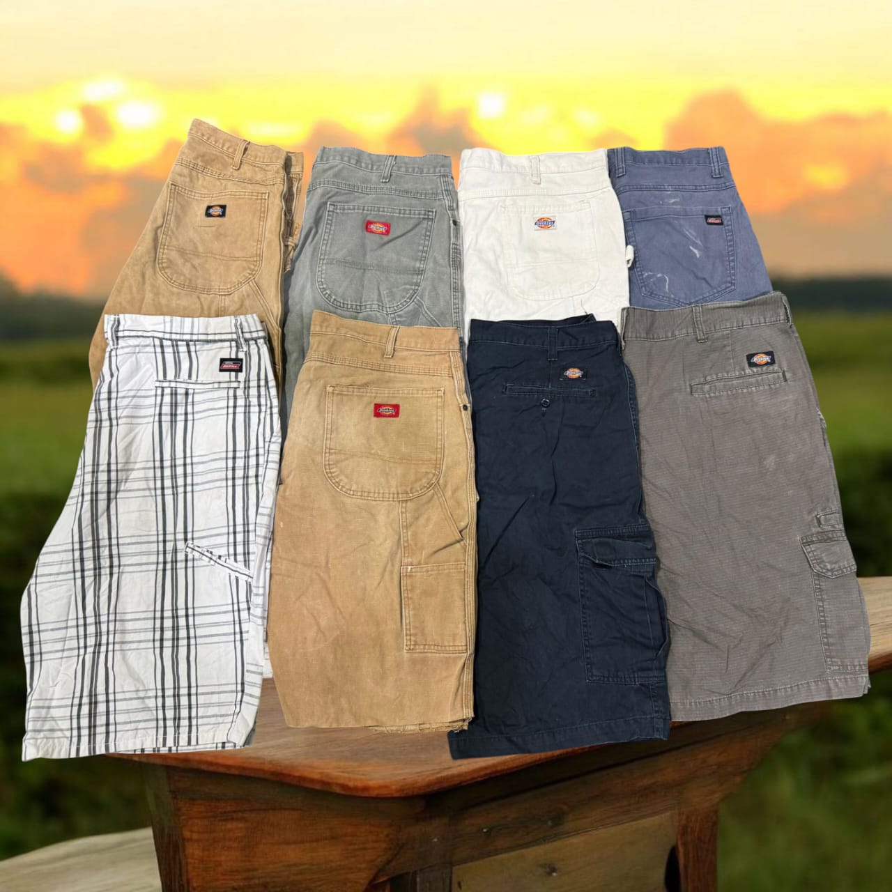 Shorts Dickies (37 pezzi)