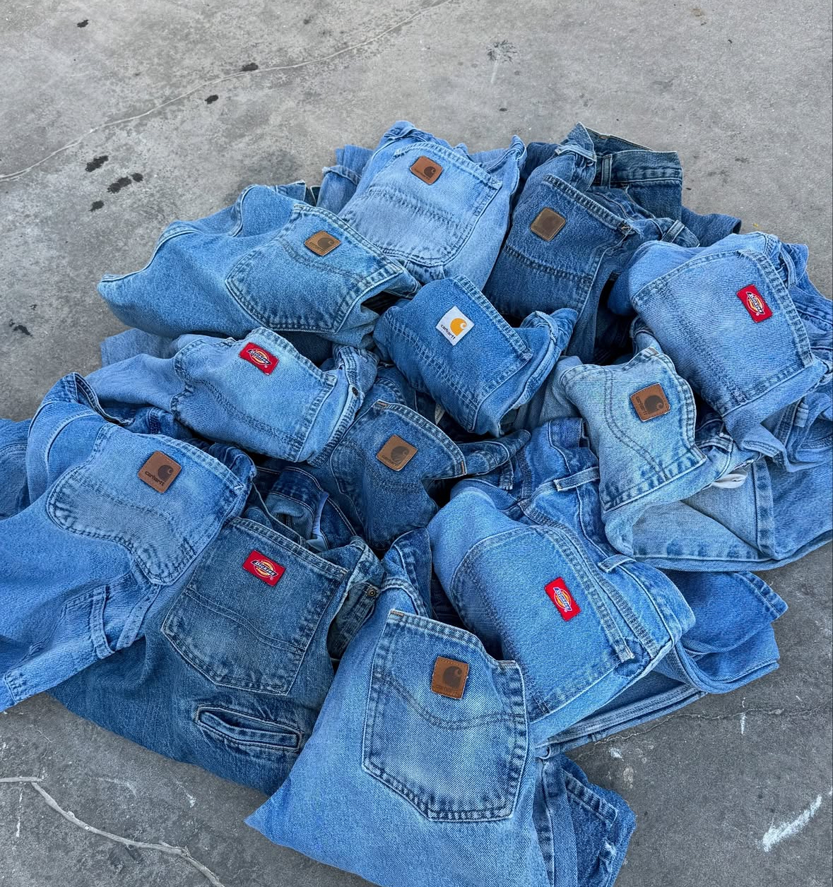 Carhartt Dickies Short mix