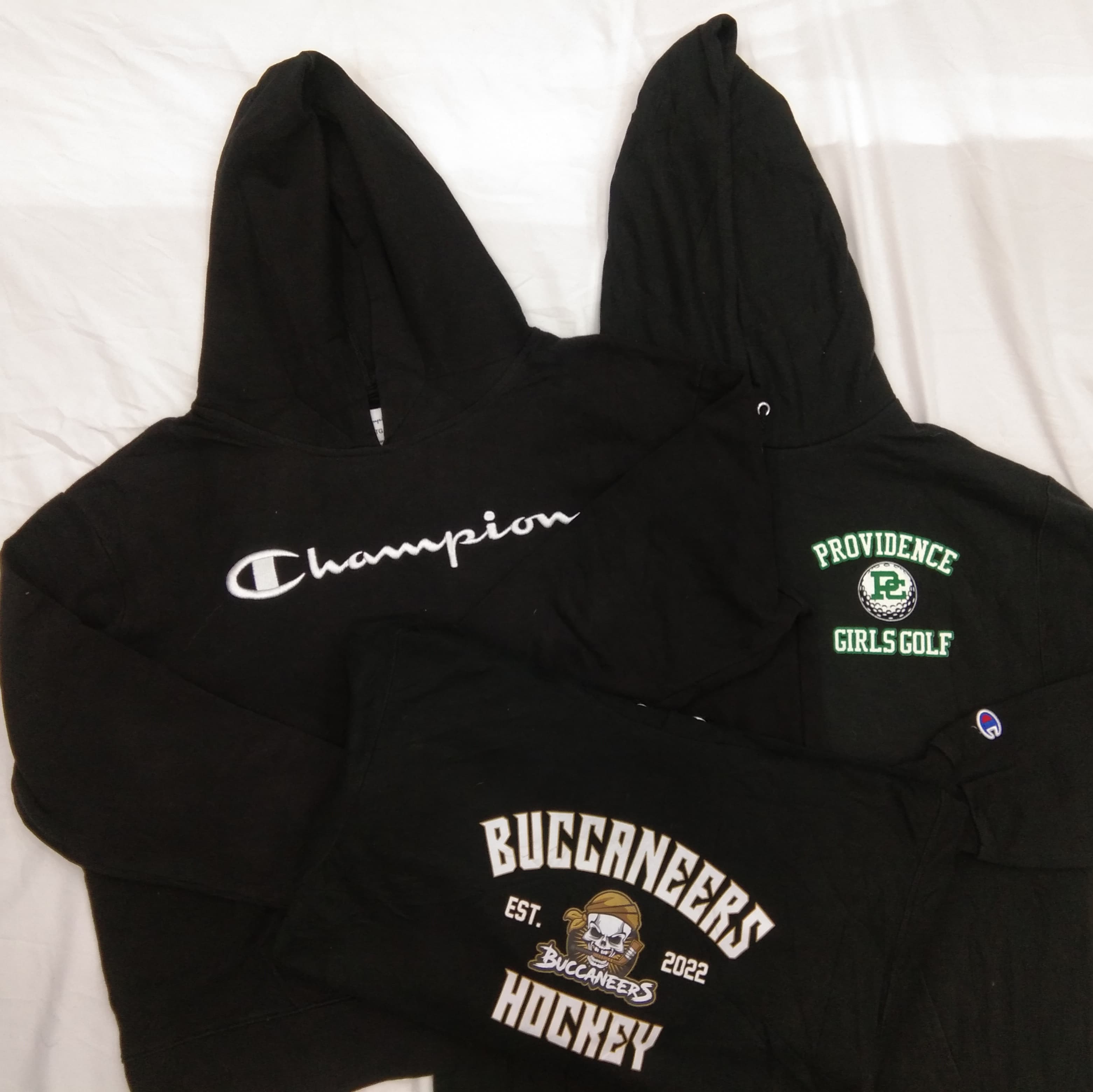 ZH0094 Sudaderas Champion - 10 Pcs