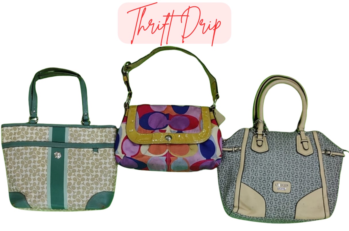 Bolsas Premium (Coach, Guess e outras) - 10 peças