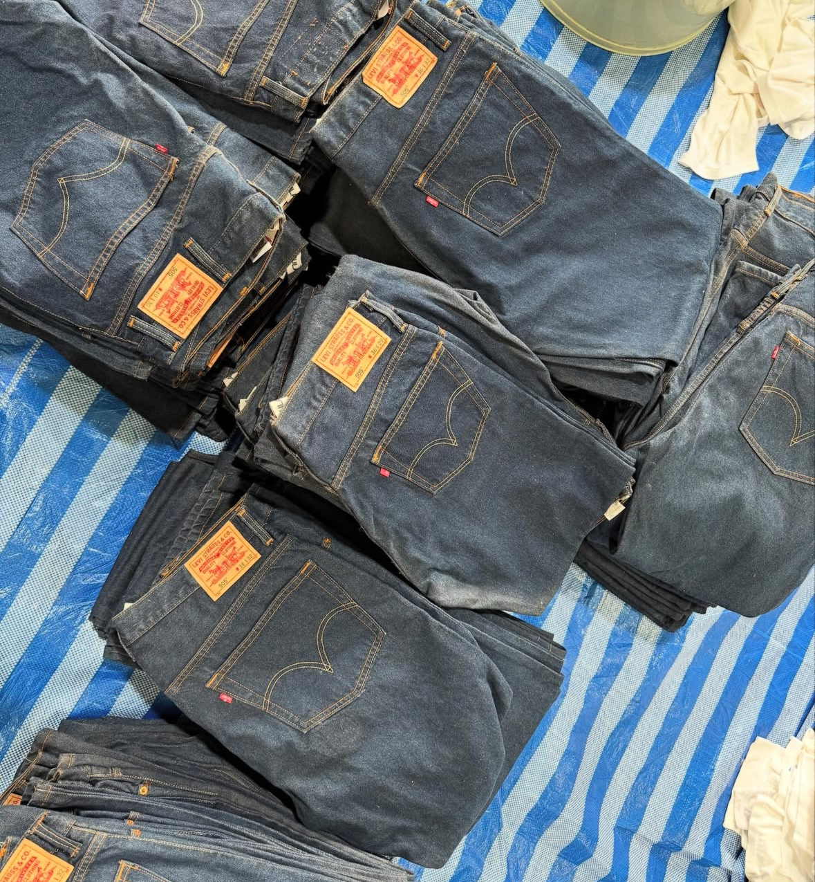 Mix Salvadge Jeans Authentic All Brand Including Uniclond