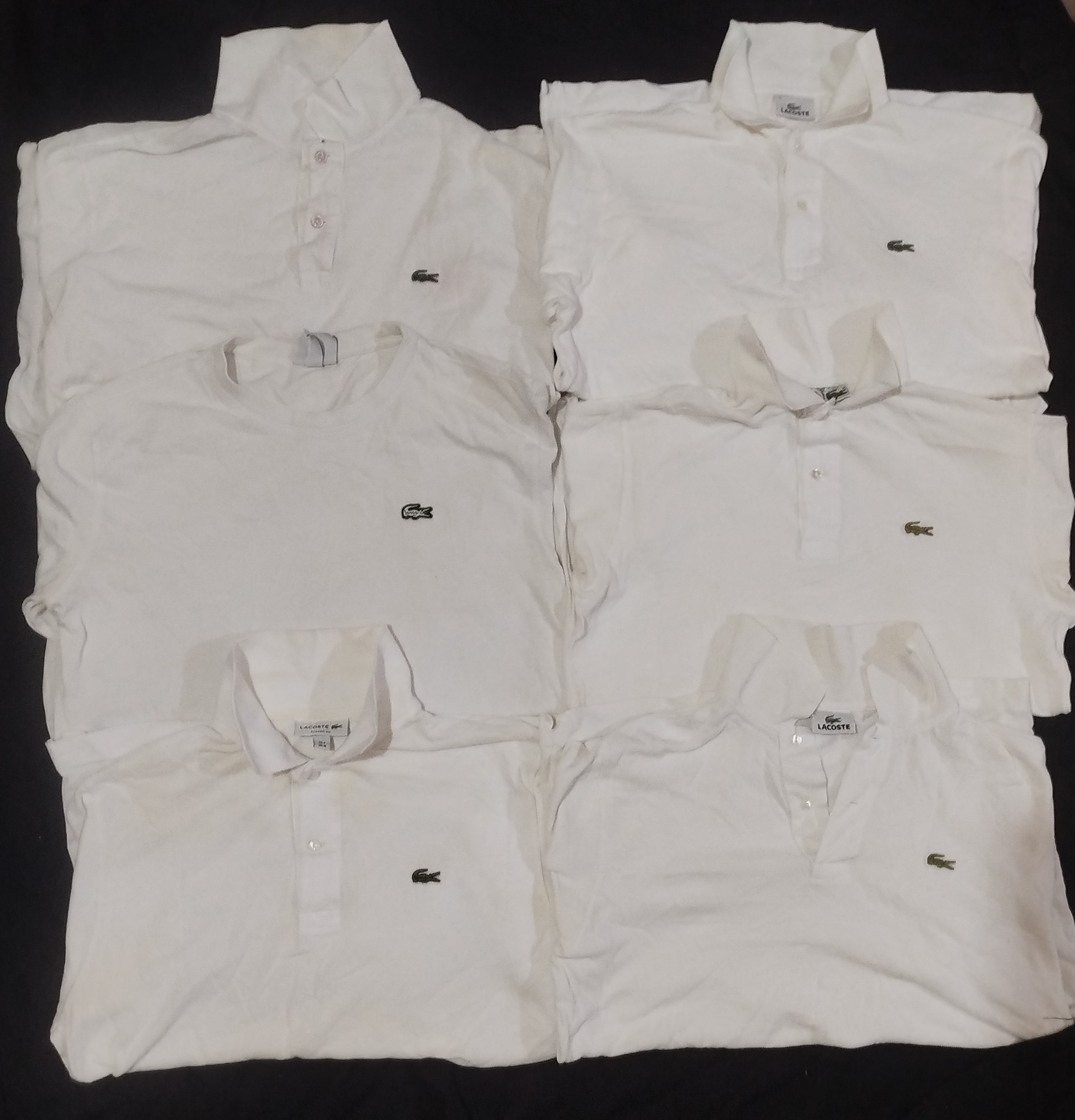 Lacoste T-Shirts