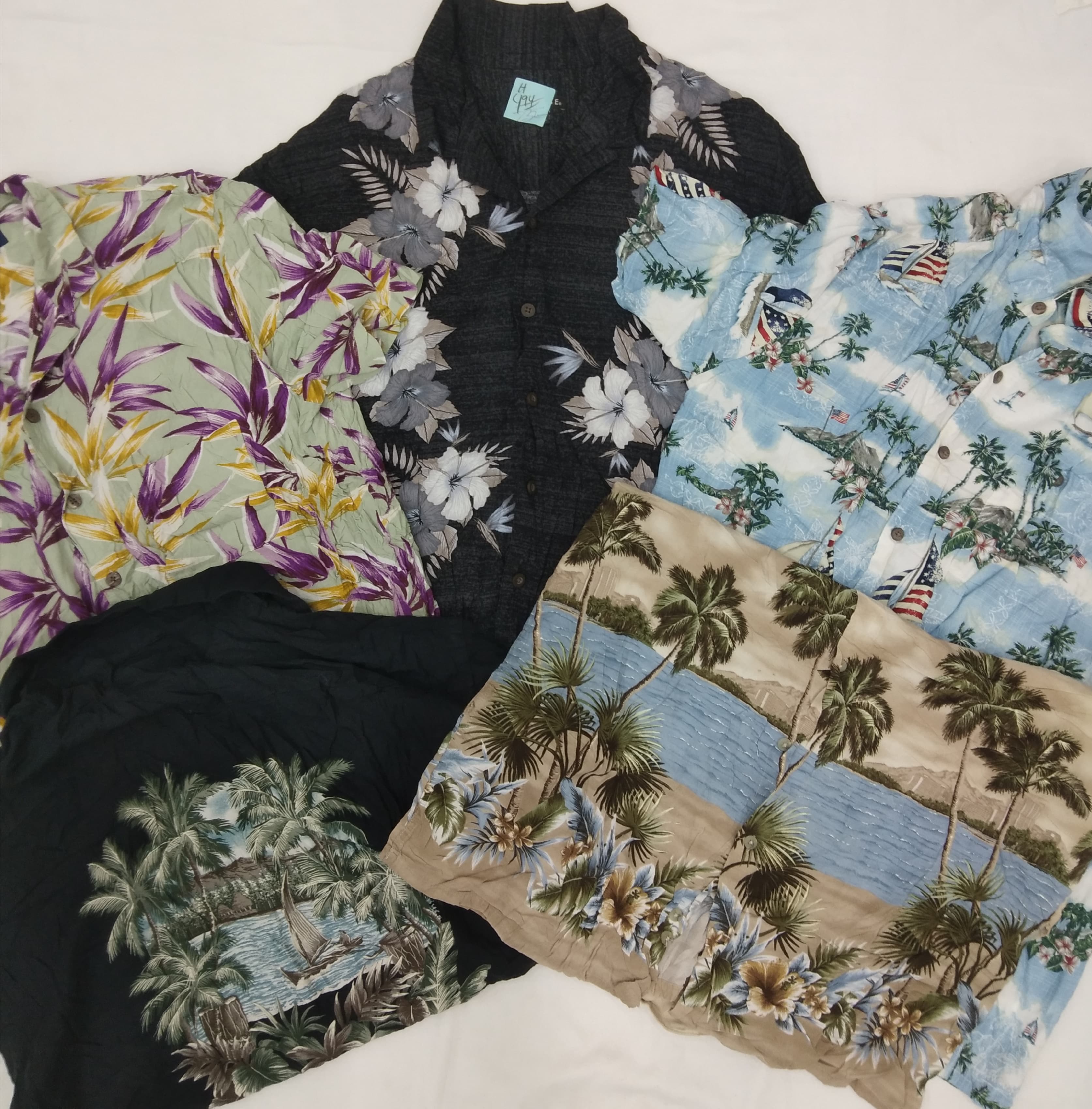 ZH0162 Camicie Hawaiane - 19 Pz