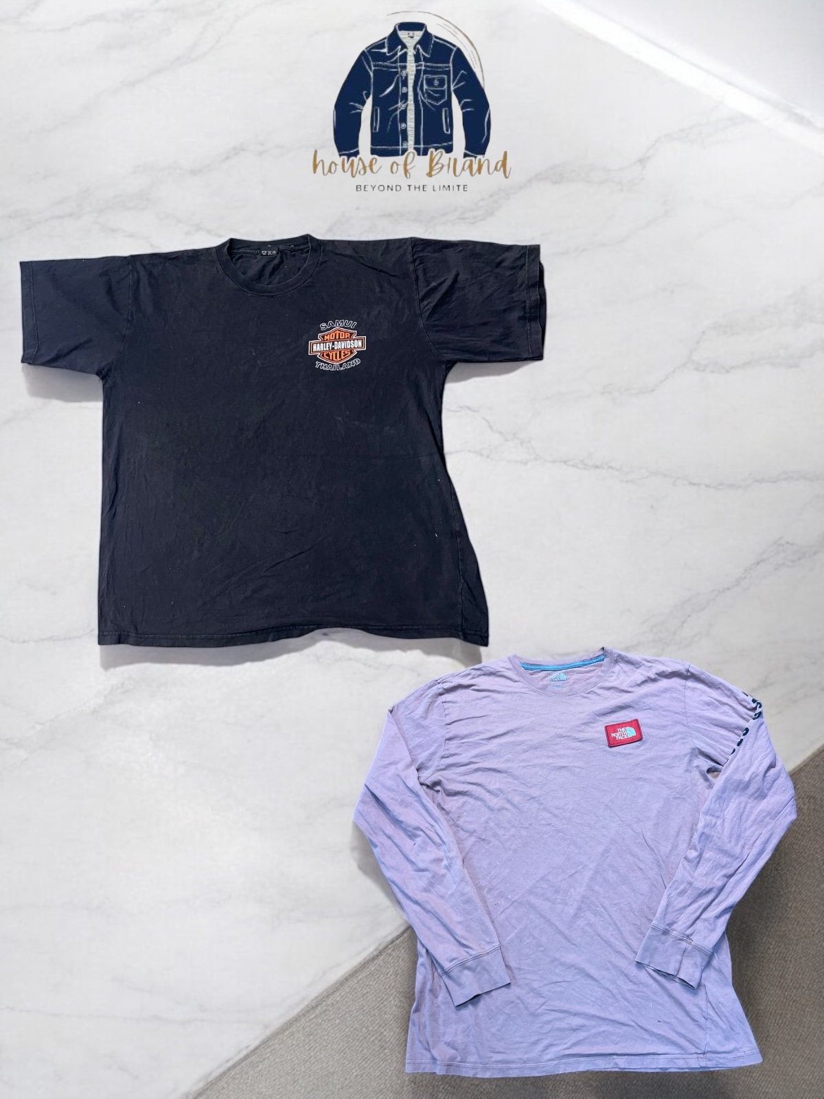 ザ・ノース・フェイス、ハーレーダビッドソン、ラングラー、カーハートのTシャツ