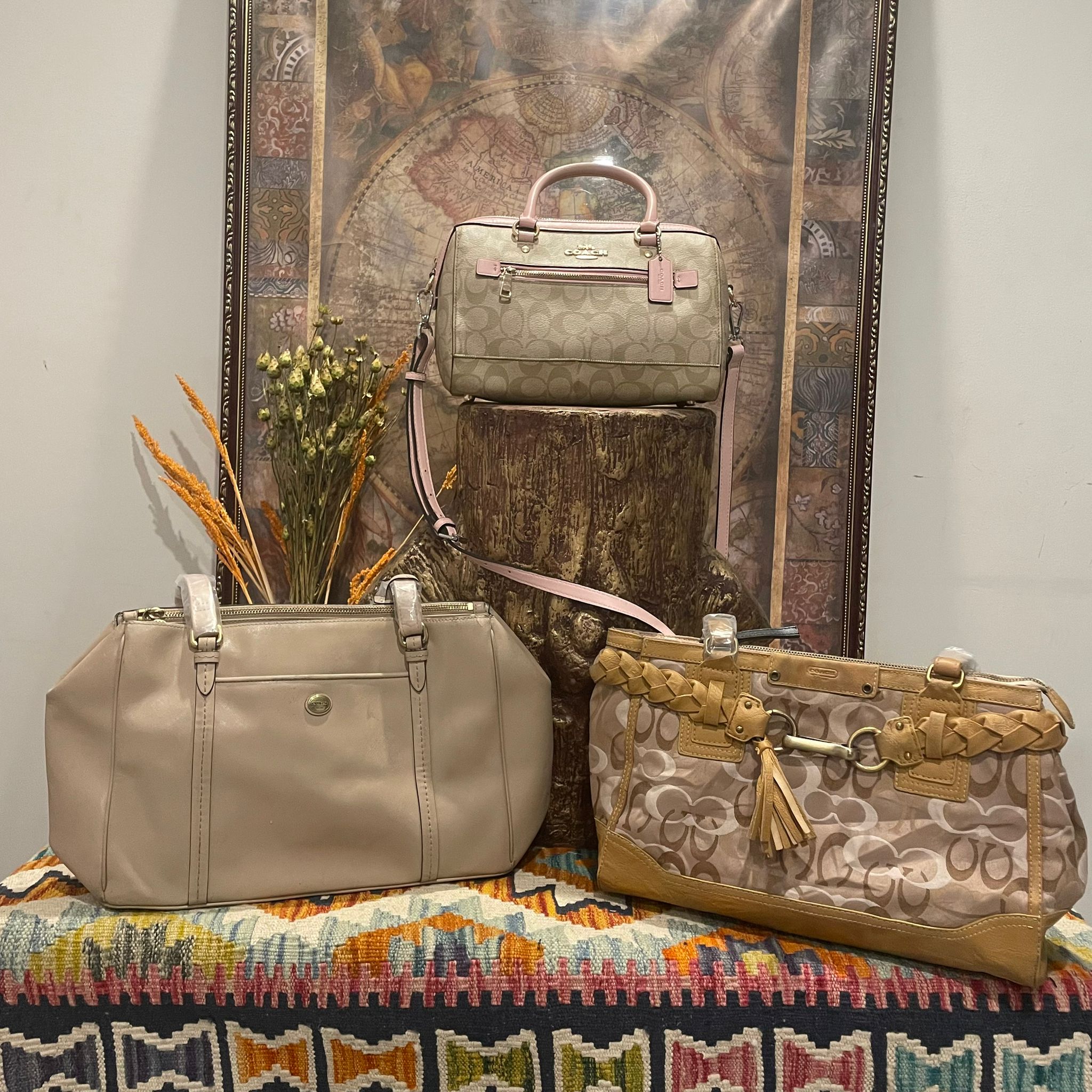 Ensemble Exclusif de Sacs à Main Coach