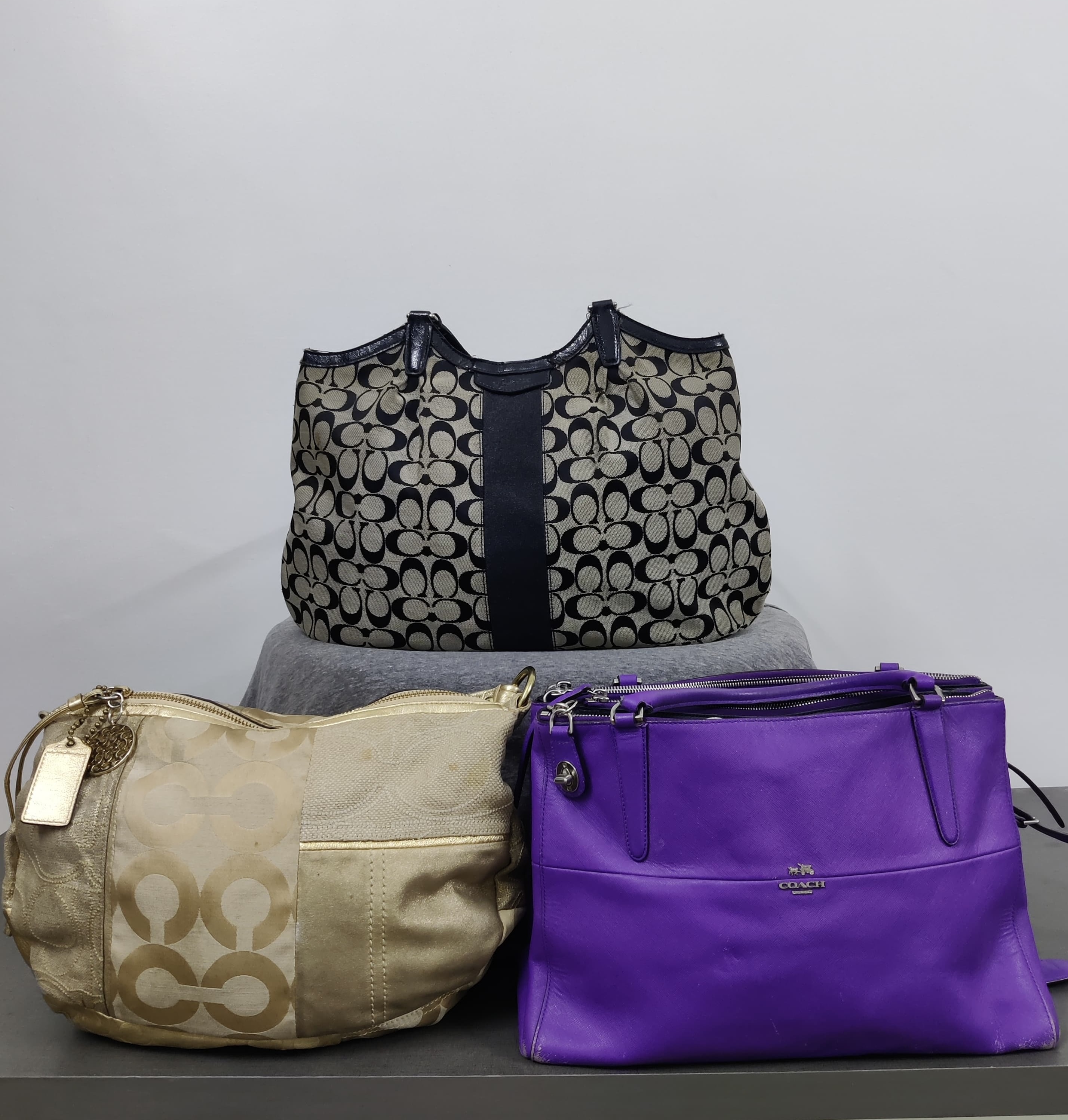 Premium Coach Bags - 10pcs [DB-011]