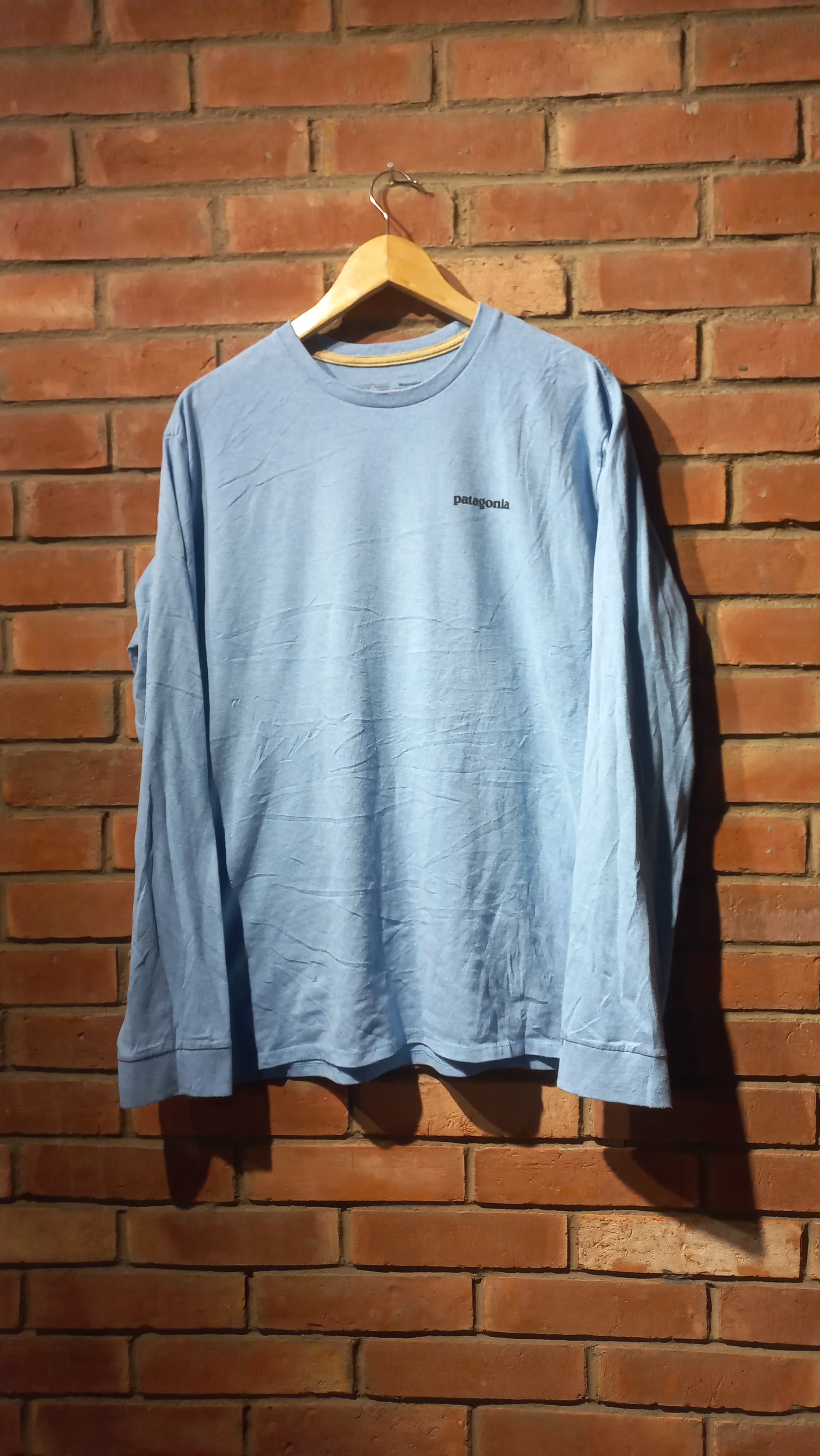 パタゴニア Tシャツ