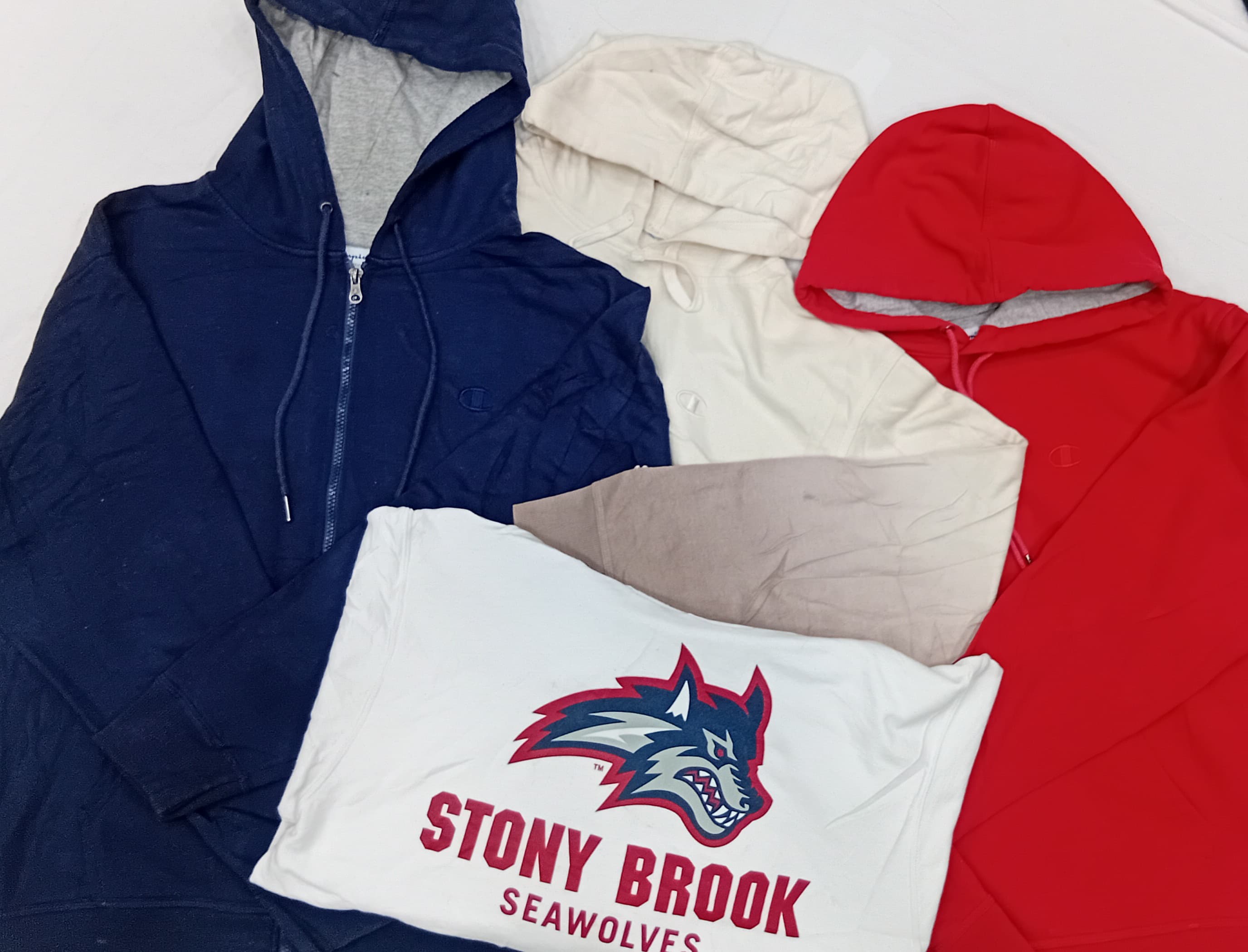 ZH0327 Champion Hoodies - 10 Pcs