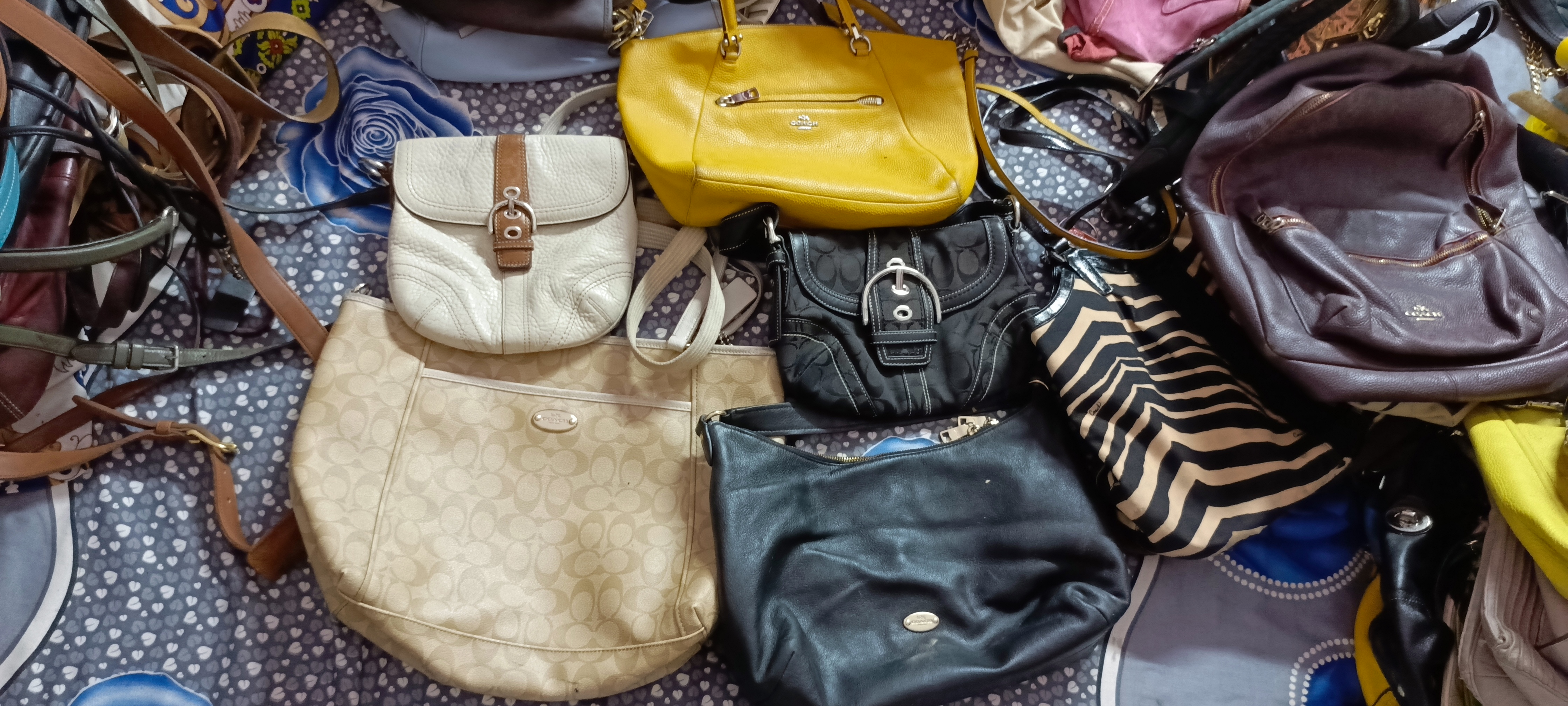 Coach Bags