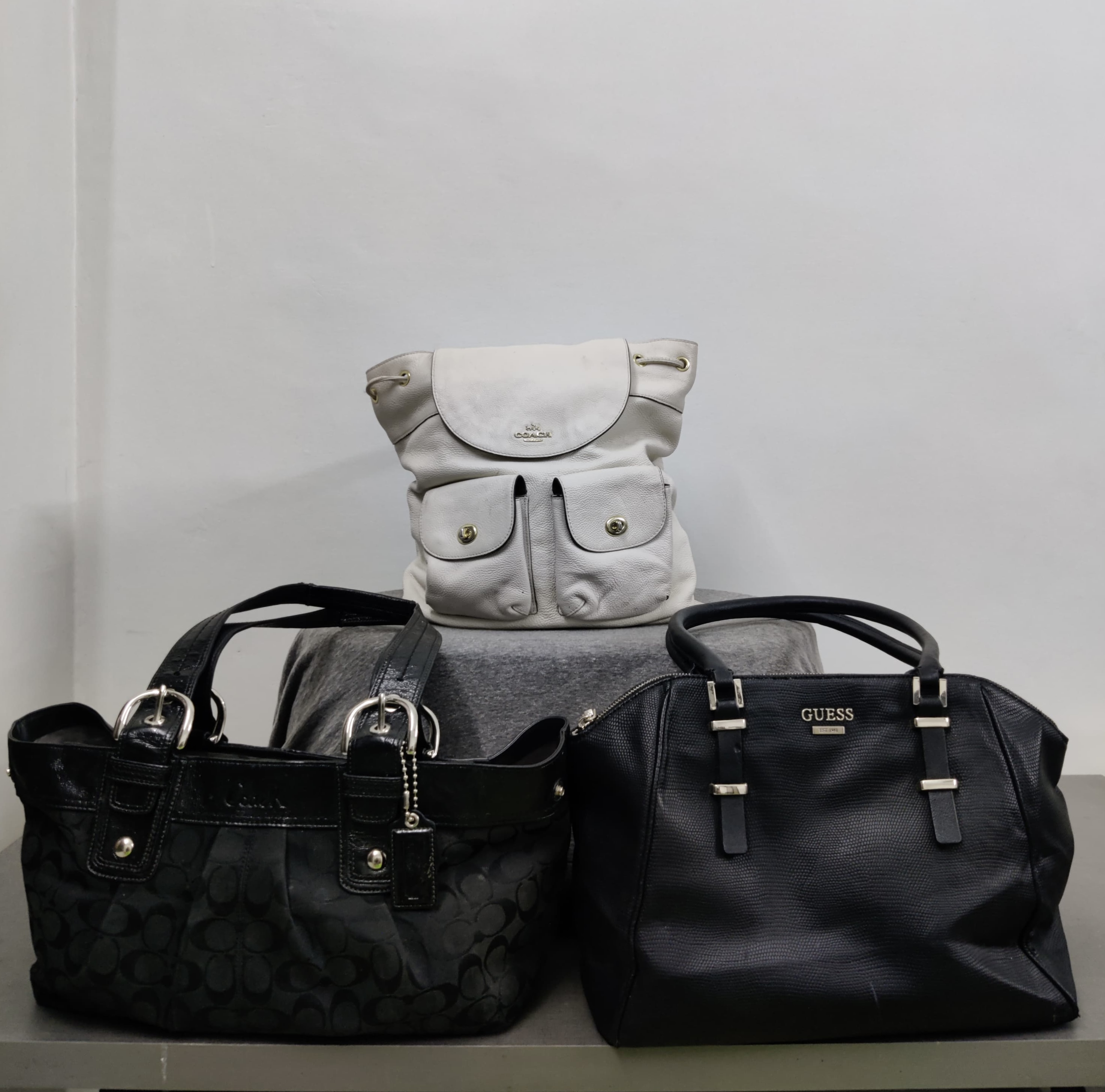 Premium Bags (including Coach, Guess) - [TD-012]