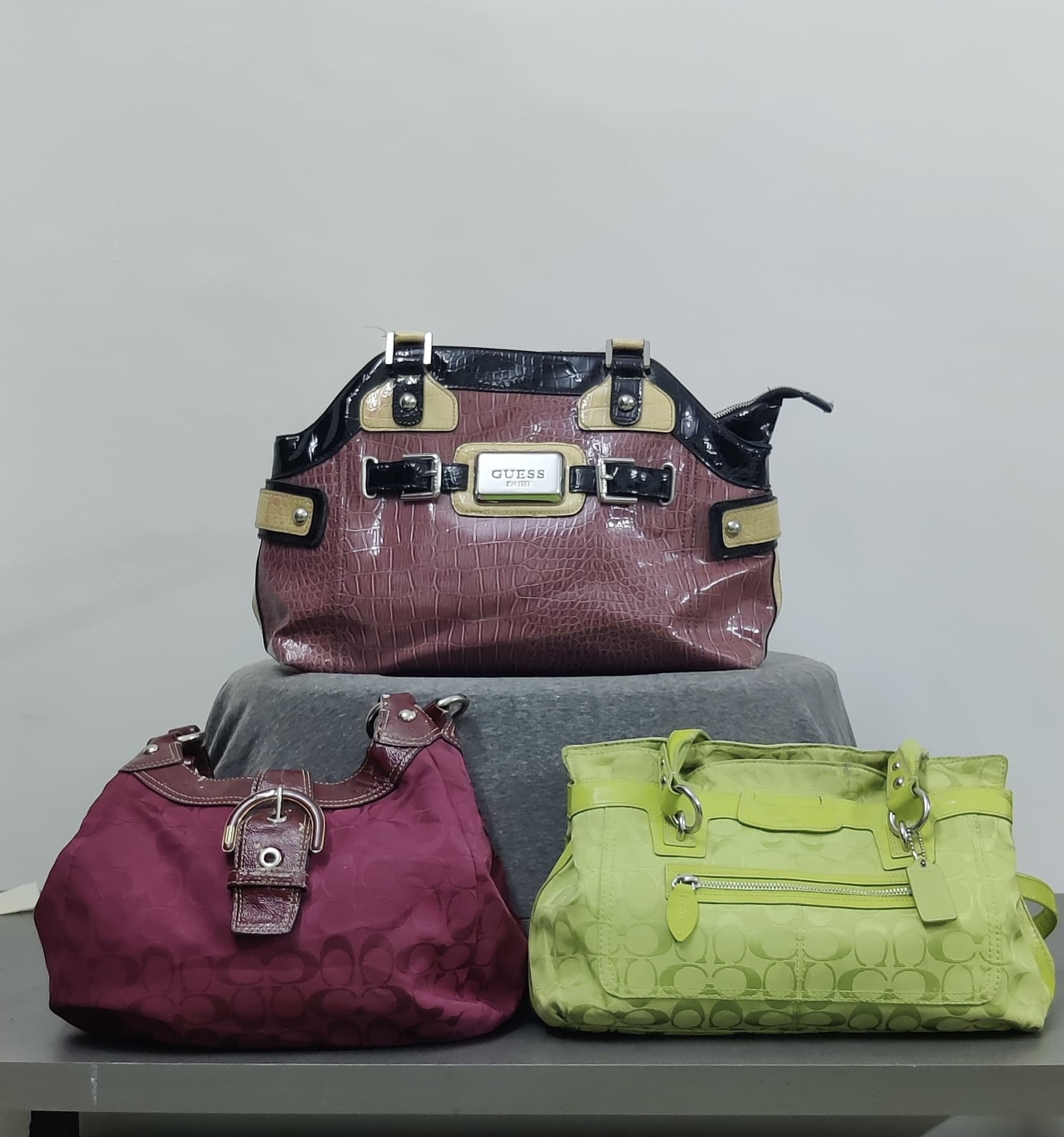 Premium Coach & Guess Bags - [TD-014]