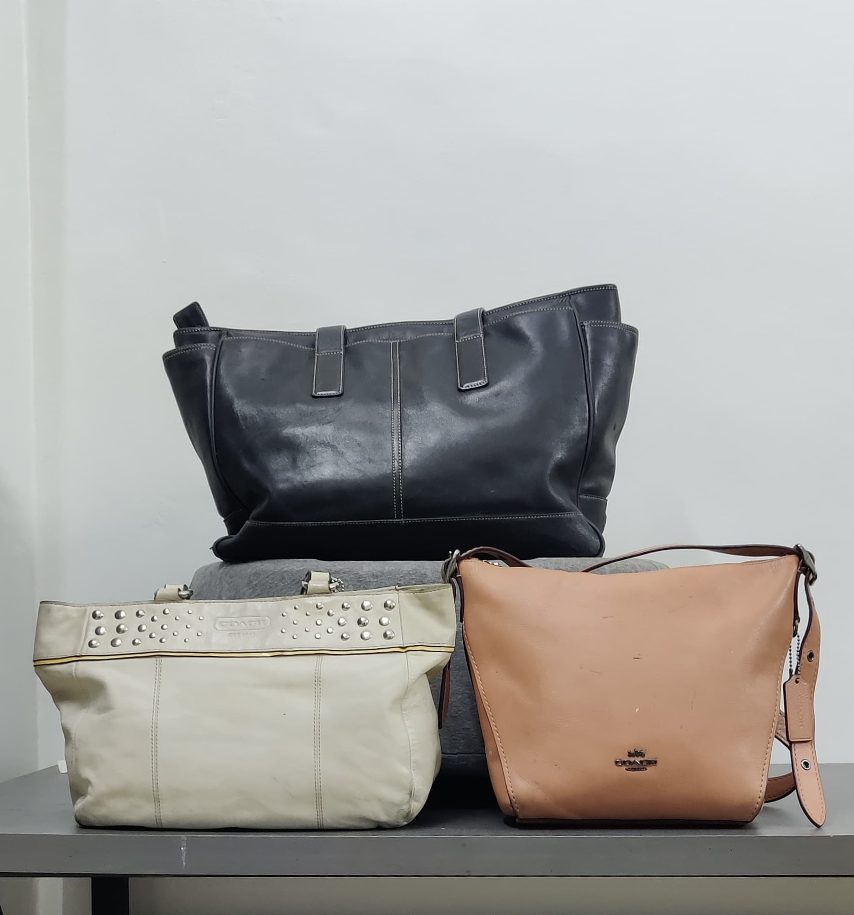Premium Leather Bags (including Coach) - [TD-017]