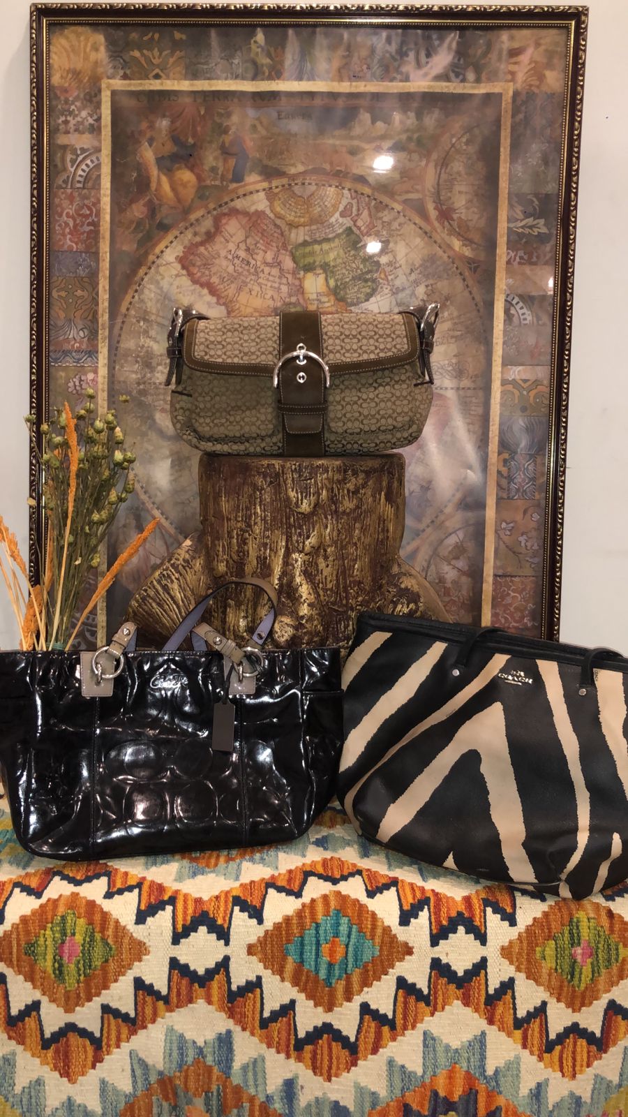 Offre exclusive de sacs Coach