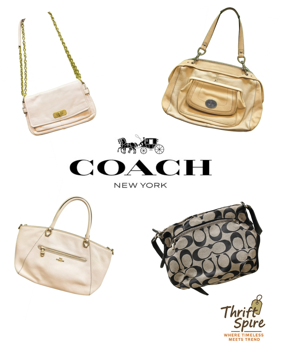 Bolsas COACH - (TS-0120)