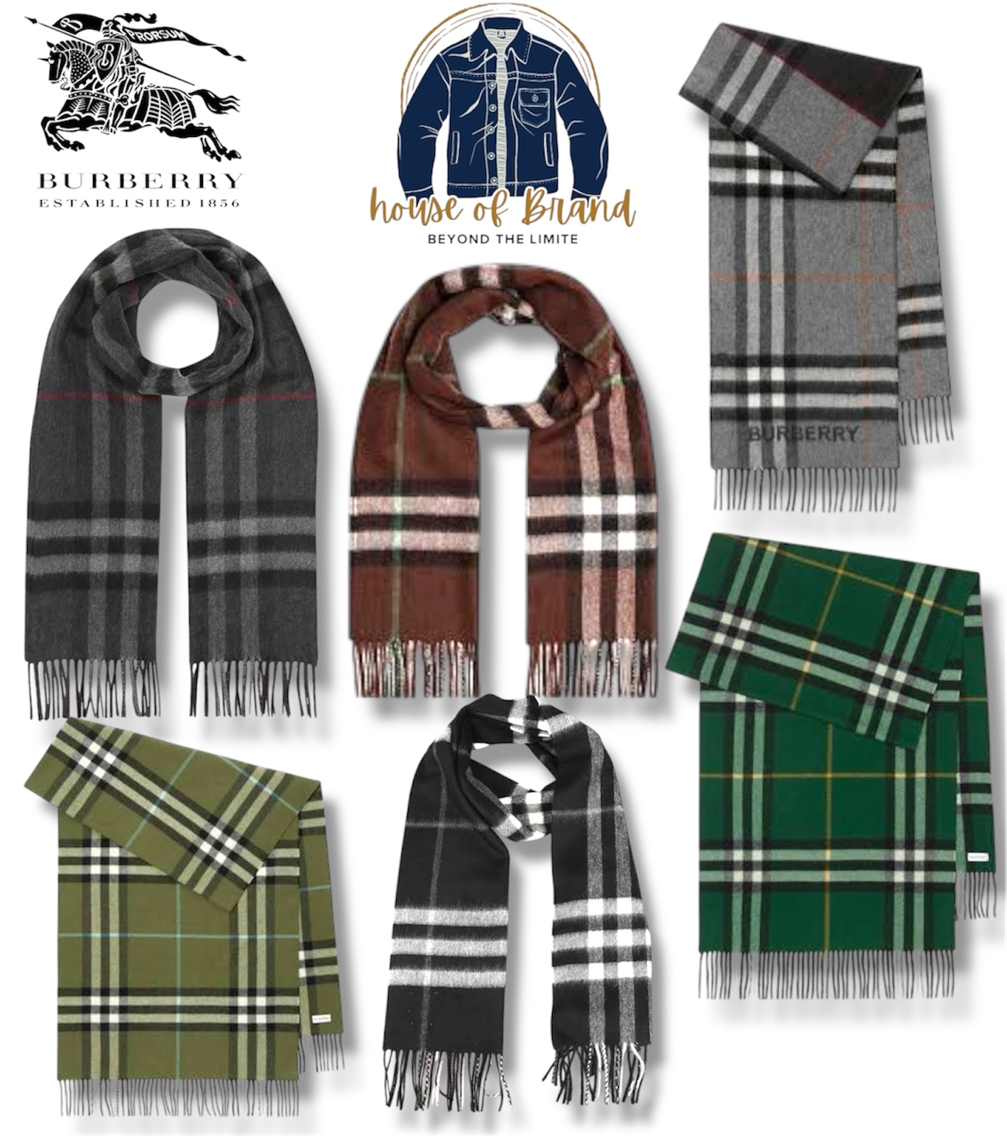 Burberry Scarves