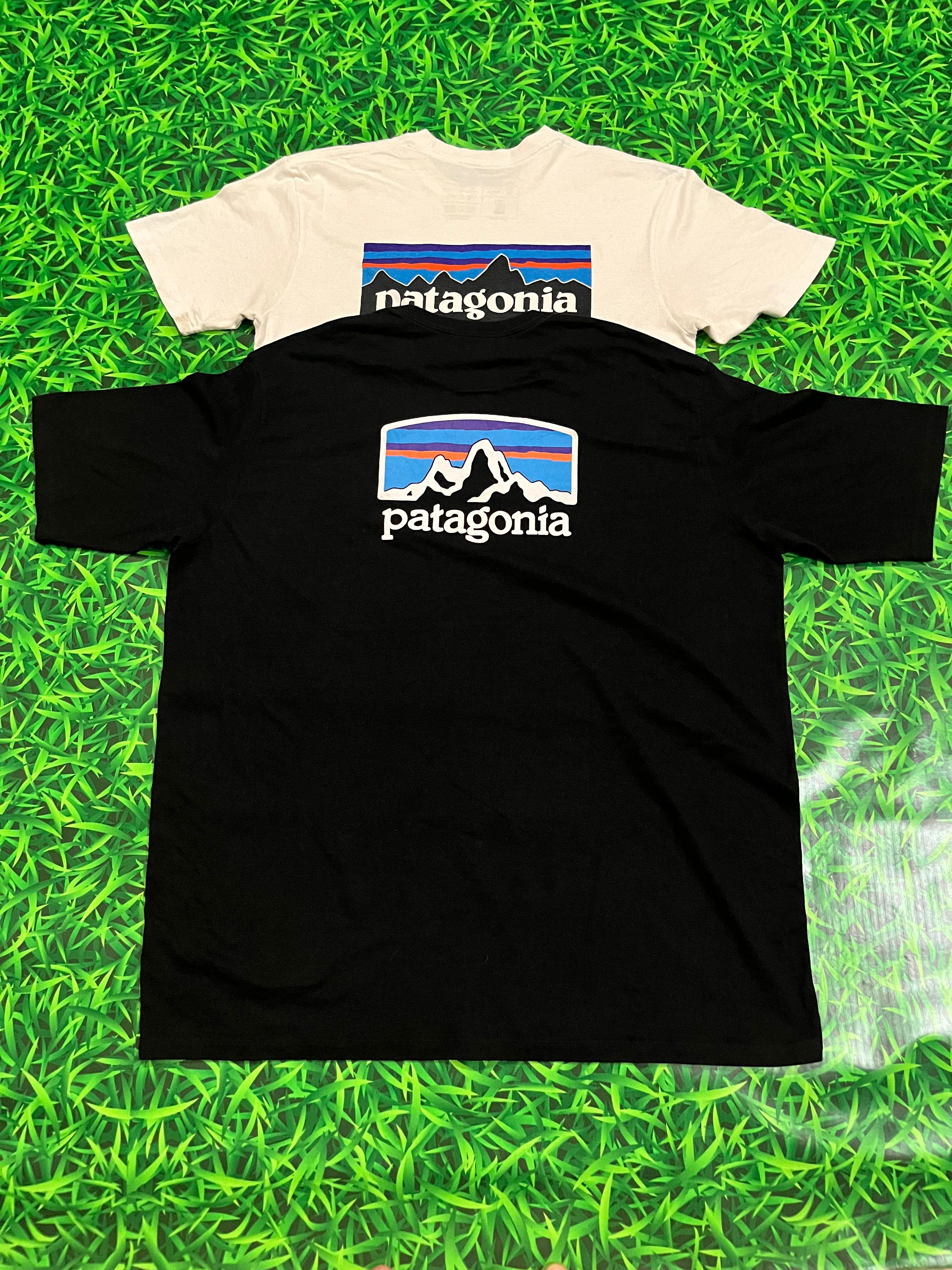 パタゴニアTシャツ