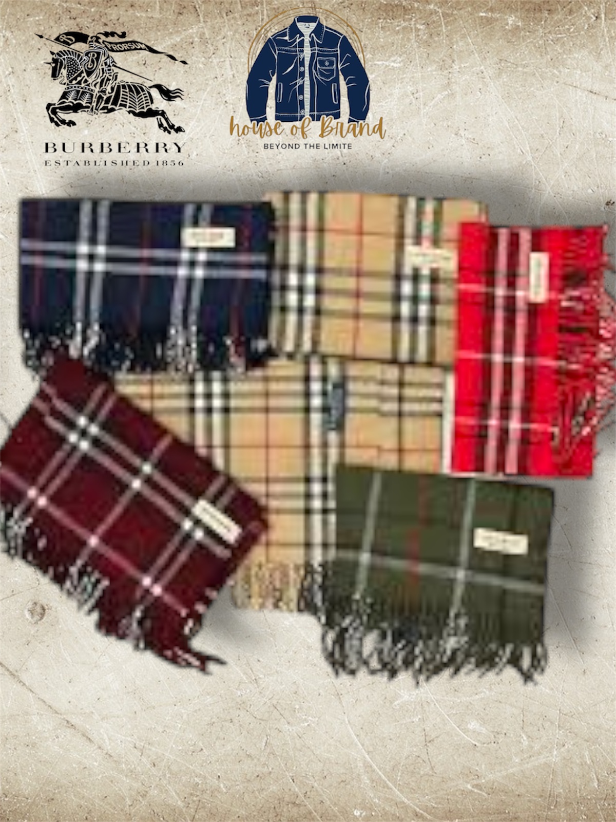 Burberry Scarves