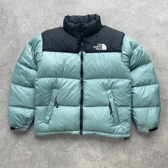 O puffer da north face
