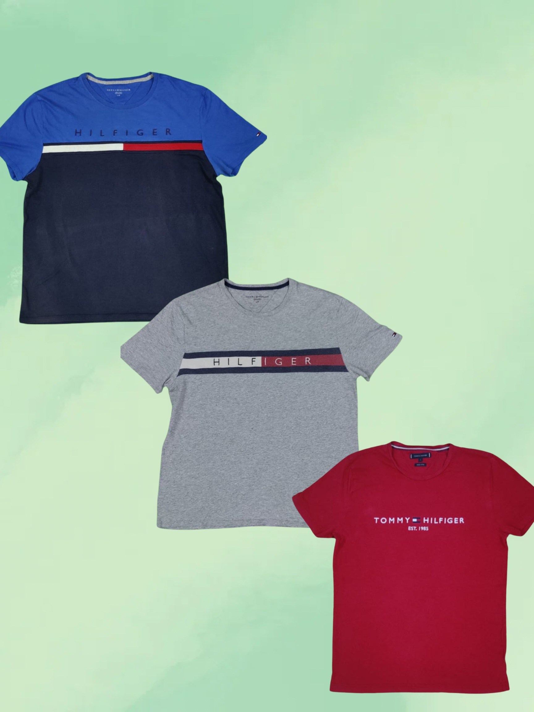 Tommy Hilfiger T-Shirts [TD-070]