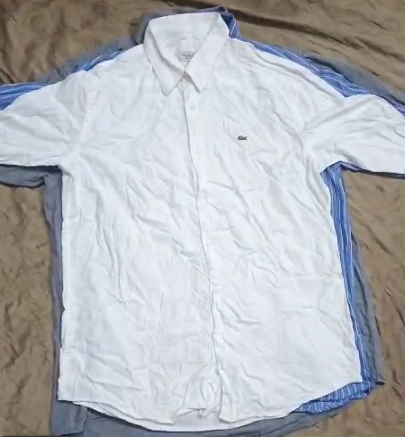 Lacoste Shirts