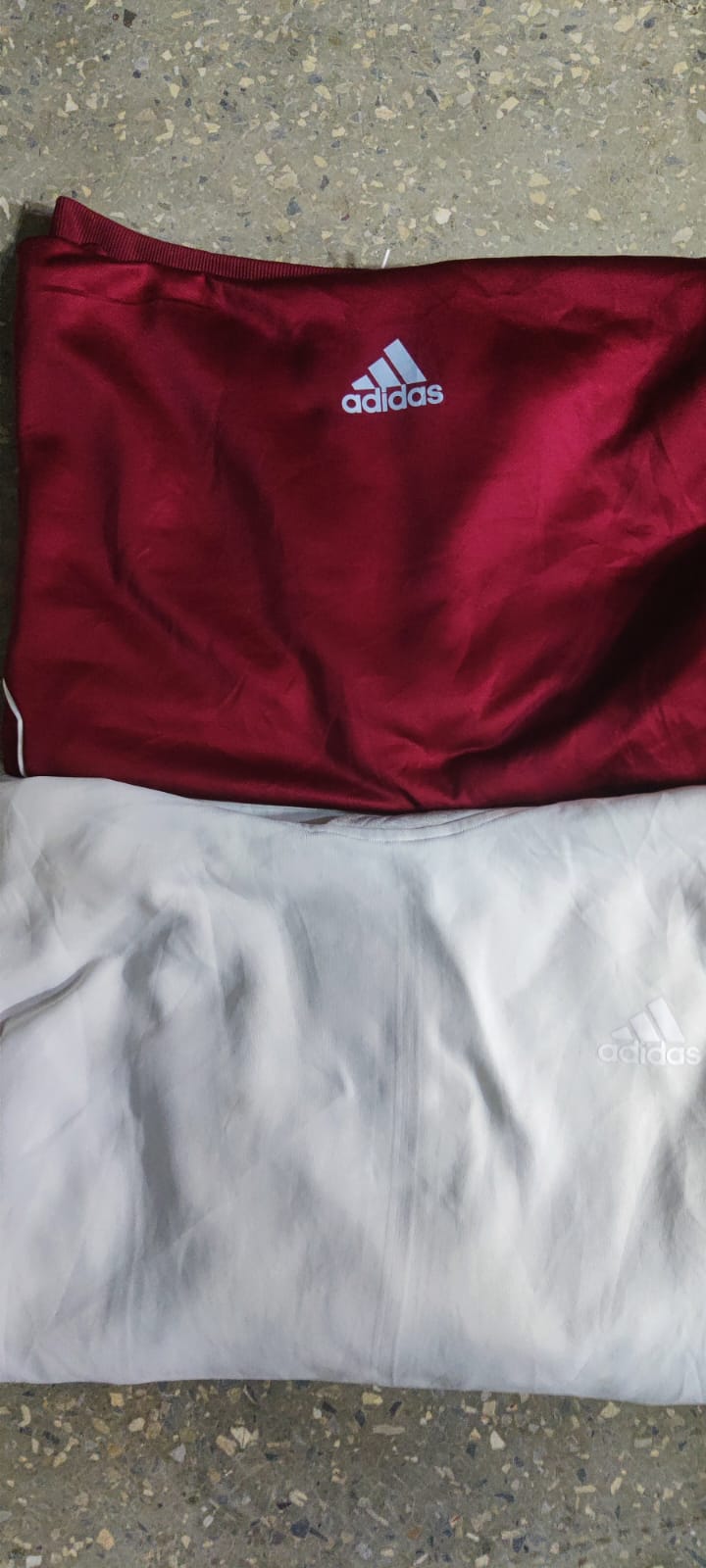 CT1315 Sweatshirts Adidas