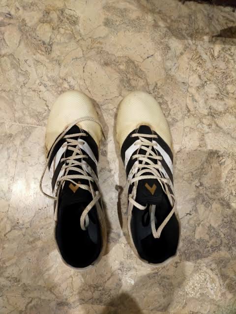 Adidas Sneaker