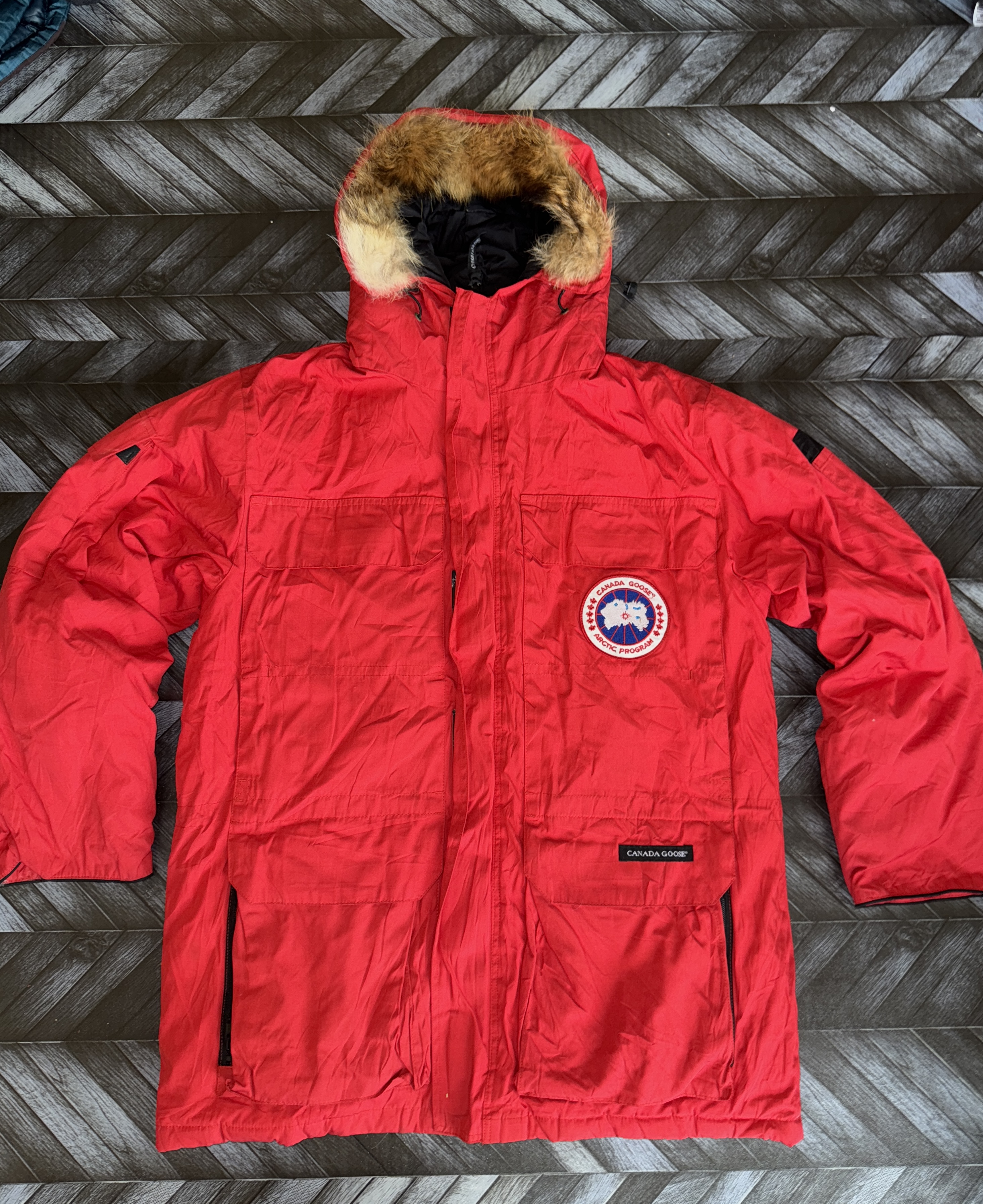 Canada Goose, Moose knuckles, Jaquetas Moncler