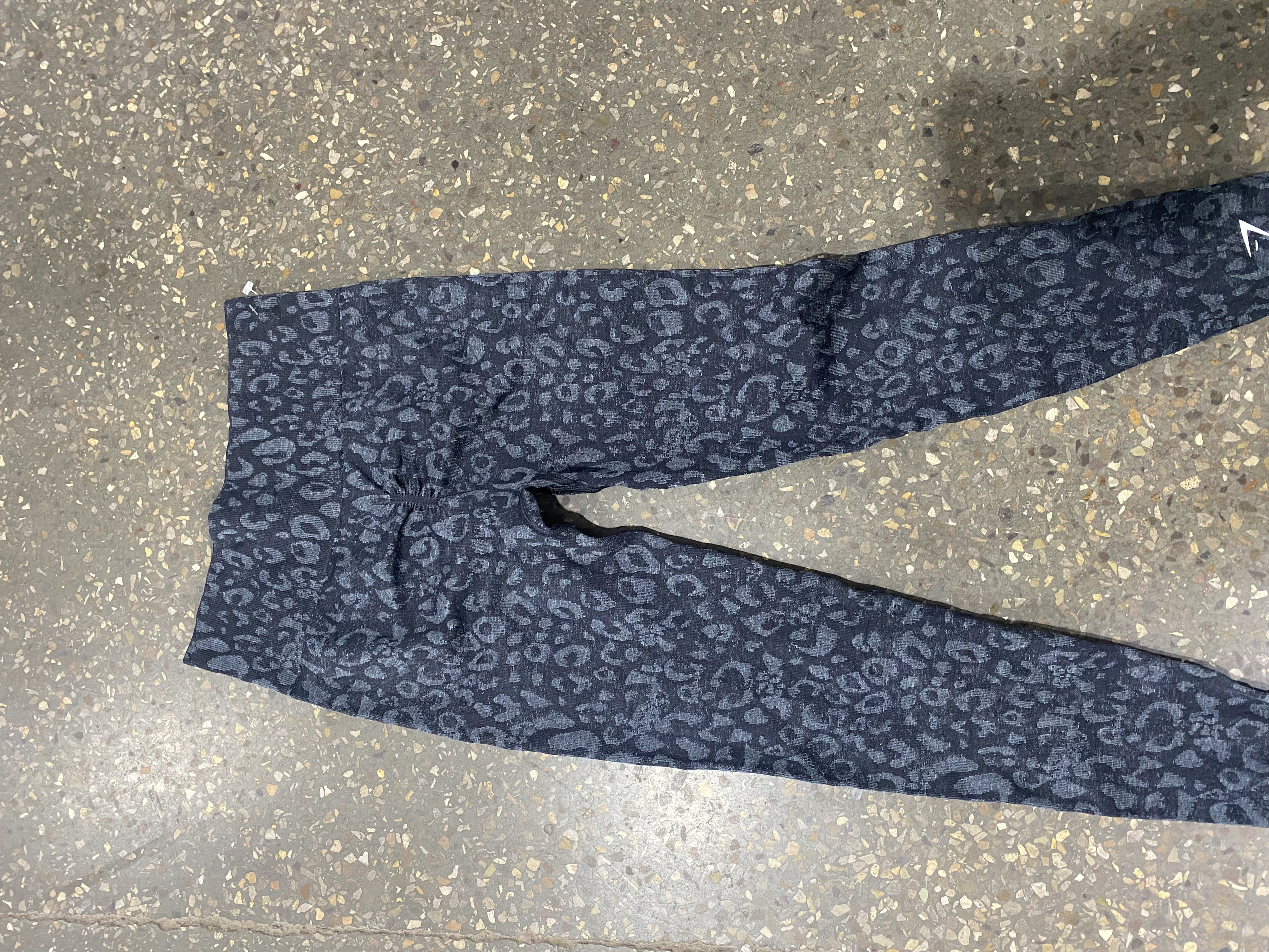 06 | Gym shark leggings