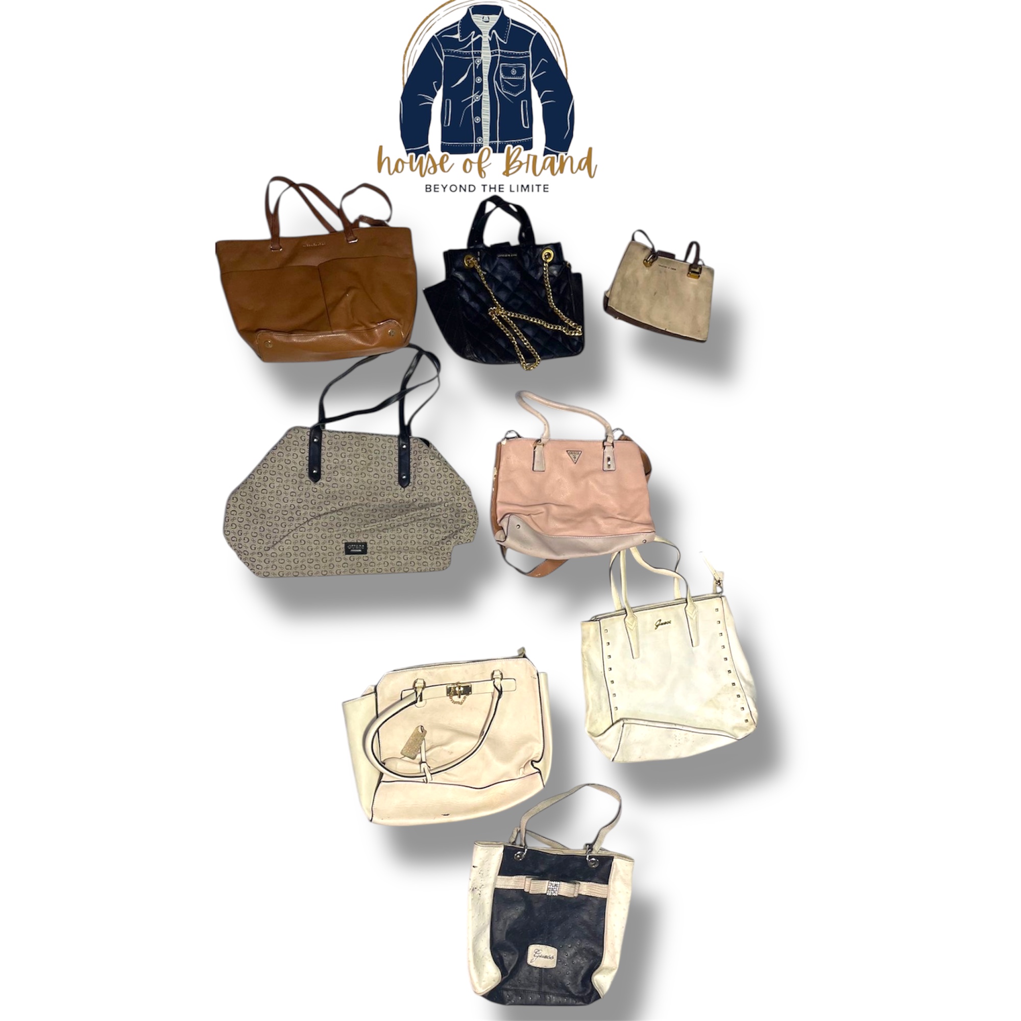 Guess / Charles & Keith / Borse ALDO