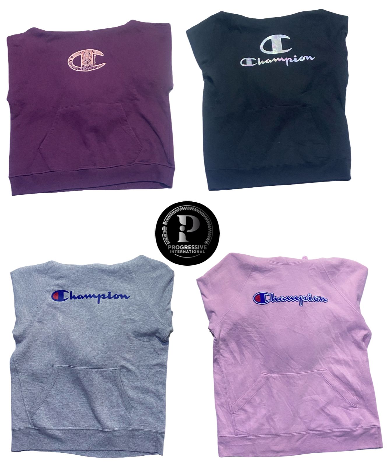 Champion Hoodies : Pi 286