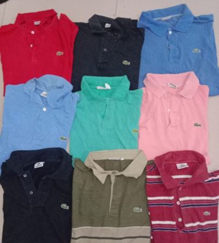 Lacoste Tシャツ