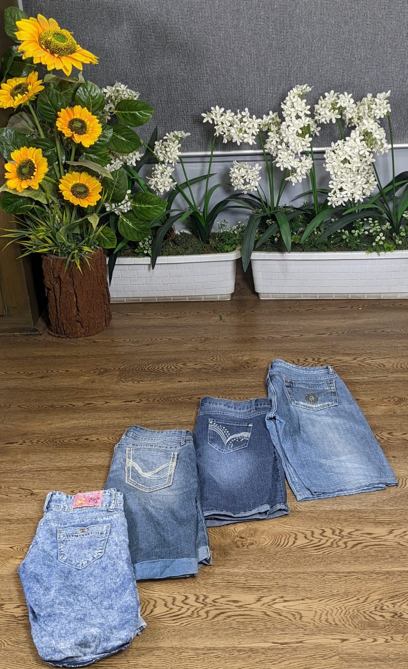 Fashion denim short